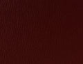 Spirit Millennium Burgundy US 364