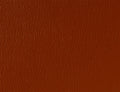 Spirit Millennium Gingersnap US 369