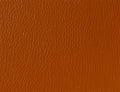 Spirit Millennium Cinnamon US 377