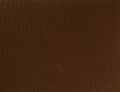 Spirit Millennium Mocha US 381