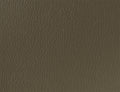 Spirit Millennium Gunmetal US 392