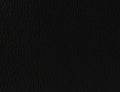 Spirit Millennium Black US 393