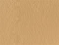 Spirit Millennium Vicuna US 401