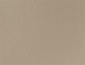 Spirit Millennium Putty US 403