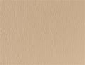 Spirit Millennium Bisque US 409
