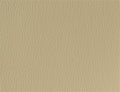 Spirit Millennium Taupe US 410