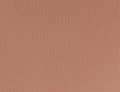 Spirit Millennium Mauve US 415