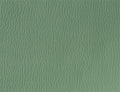 Spirit Millennium Dusty Jade US 417