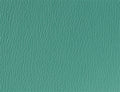 Spirit Millennium Turquoise US 419