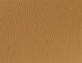Spirit Millennium Oak US 421