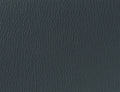 Spirit Millennium Graphite US 429