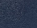 Spirit Millennium Imperial Blue US 432