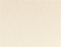 Spirit Millennium Ivory US 500