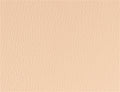 Spirit Millennium Coral Sand US 502