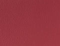 Spirit Millennium Rouge Red US 505