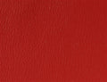 Spirit Millennium Dark Cherry US 507