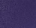 Spirit Millennium Deep Violet US 511