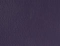 Spirit Millennium Dark Purple US 512