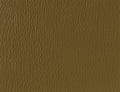 Spirit Millennium Bronze US 523