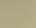 Spirit Millennium Gray Moss US 525