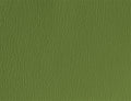 Spirit Millennium Olive Green US 529